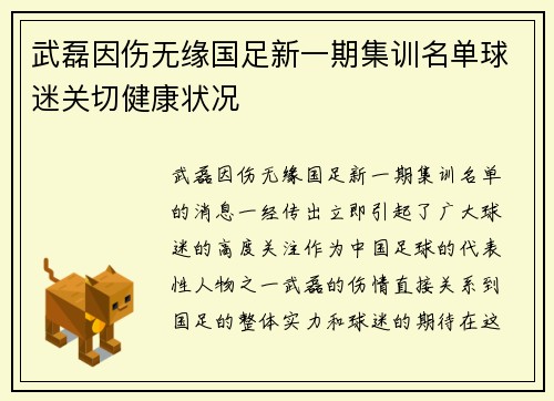 武磊因伤无缘国足新一期集训名单球迷关切健康状况 武磊因伤无缘国足新一期集训名单球迷关切健康状况