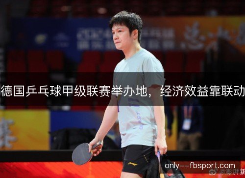 德国乒乓球甲级联赛举办地,经济效益靠联动 德国乒乓球甲级联赛举办地,经济效益靠联动